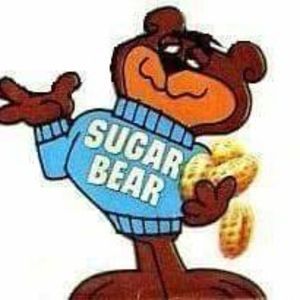 Meet your Posher, Alfred-sugarbear